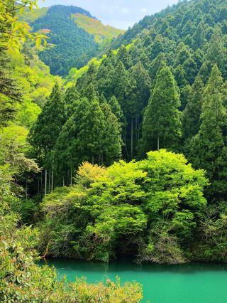 東京に翡翠の秘境が隠れている！白丸ダムの美しさに息を呑み、時間がここで止まる…