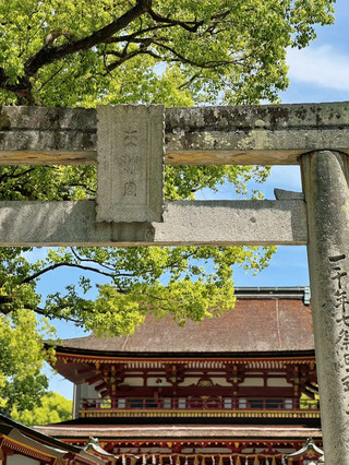 Japan’s per capita 4k | great value for money and amazing experiences