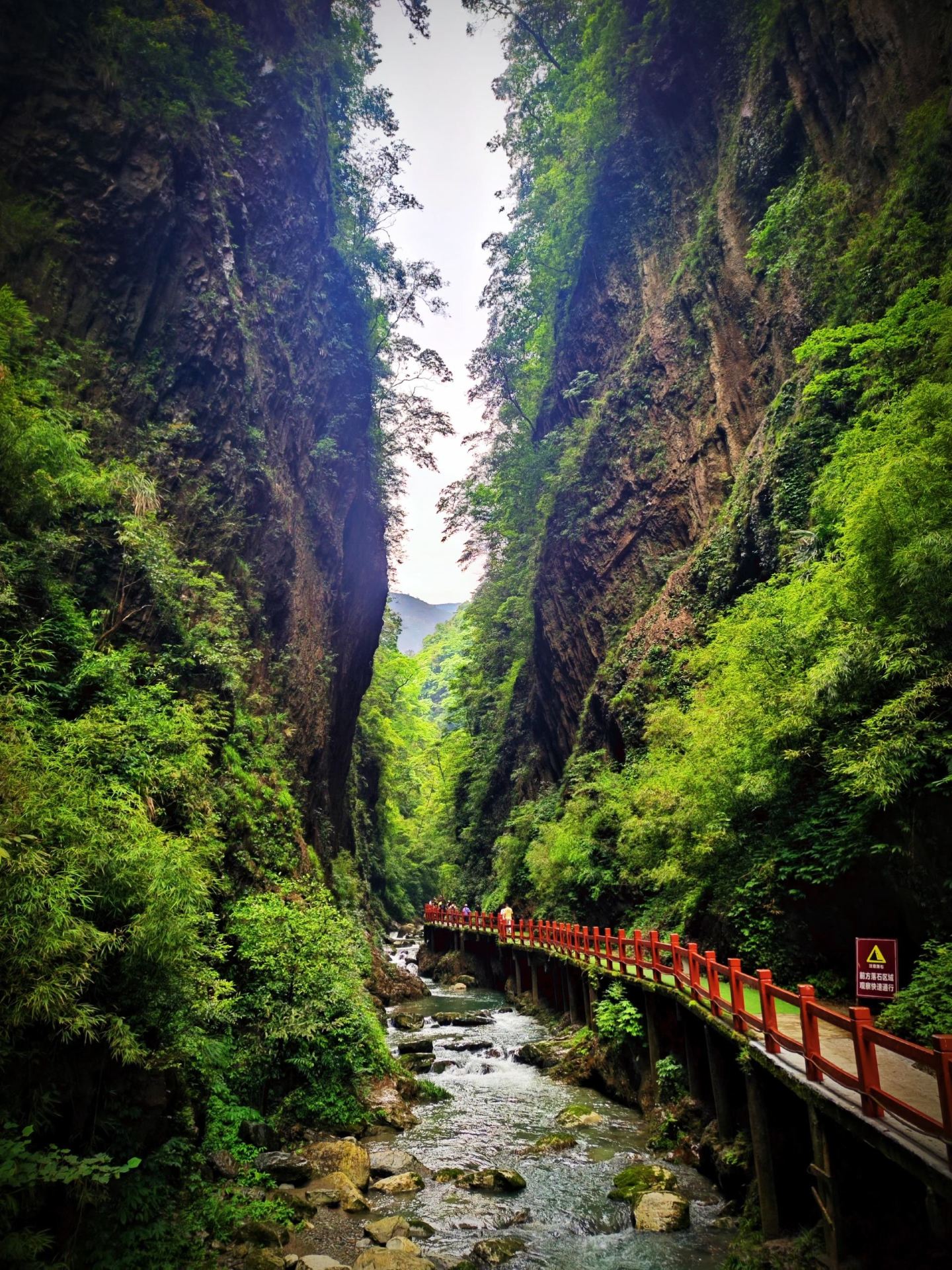 安順等地超適合老年人的旅遊攻略親測實用