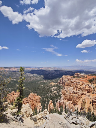     Summer 8-day US tour itinerary is super popular!