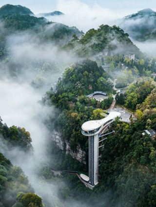 2h from Chengdu, step into a forest kingdom where you can get close to animals