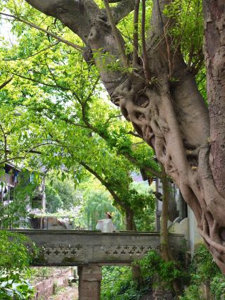 I was amazed by the "contrast" of Tucheng Ancient Town in Guizhou during my May Day holiday visit. Avoiding the popular tourist spots, I came to Tucheng Ancient Town, a low-key red...