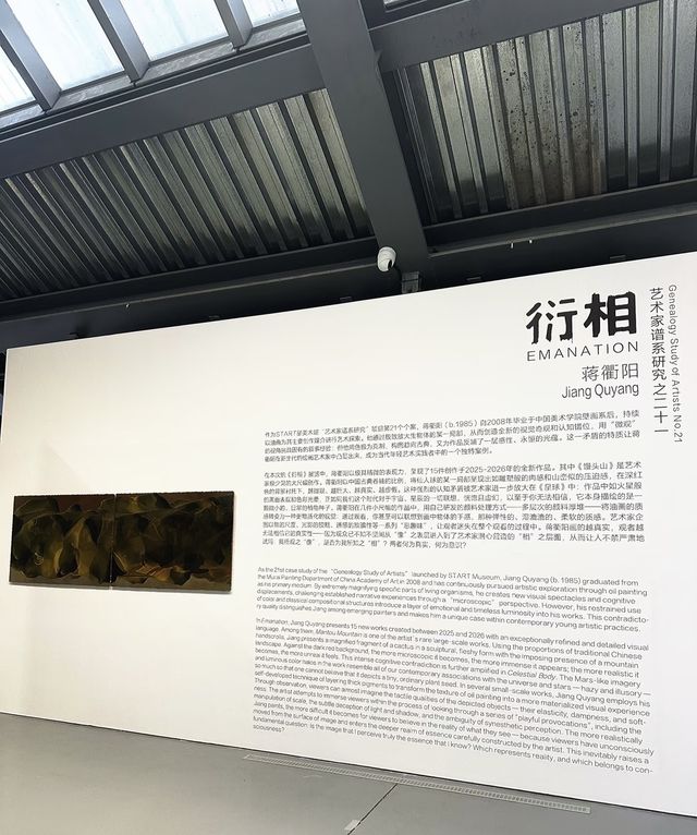艺术迷速來!START星美術館三大新展同開,拍照打卡