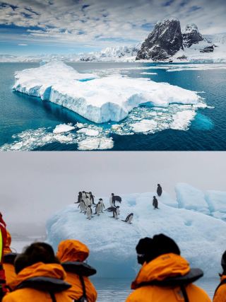 Exclusive last-minute Antarctic deal! Luxury cruise to the three Antarctic regions departing in November