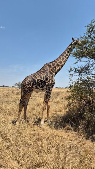A Magical Honeymoon Adventure in Tanzania