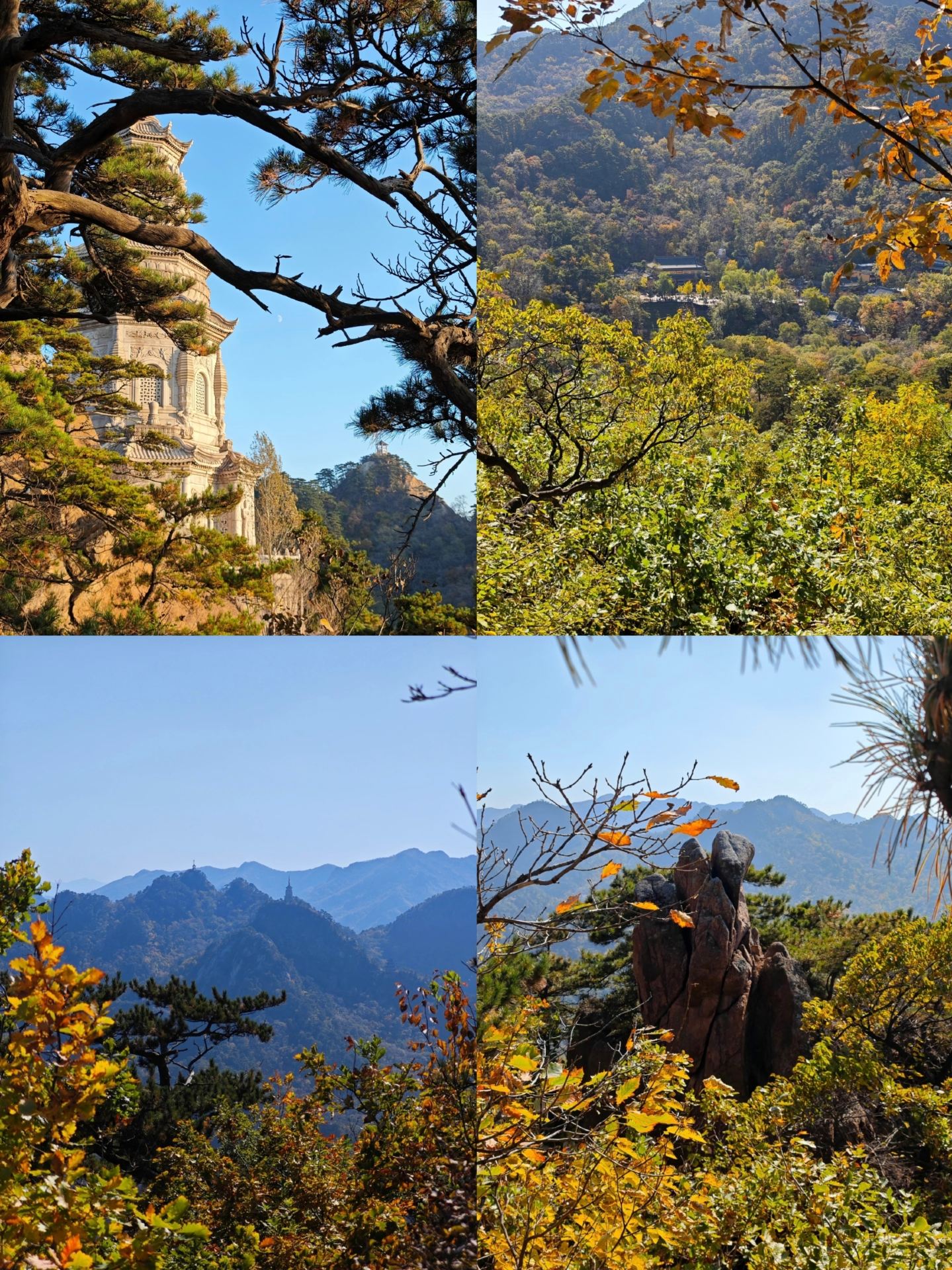 Where to take the kids for National Day? A collection of 1.5-hour hidden gems around Shenyang!