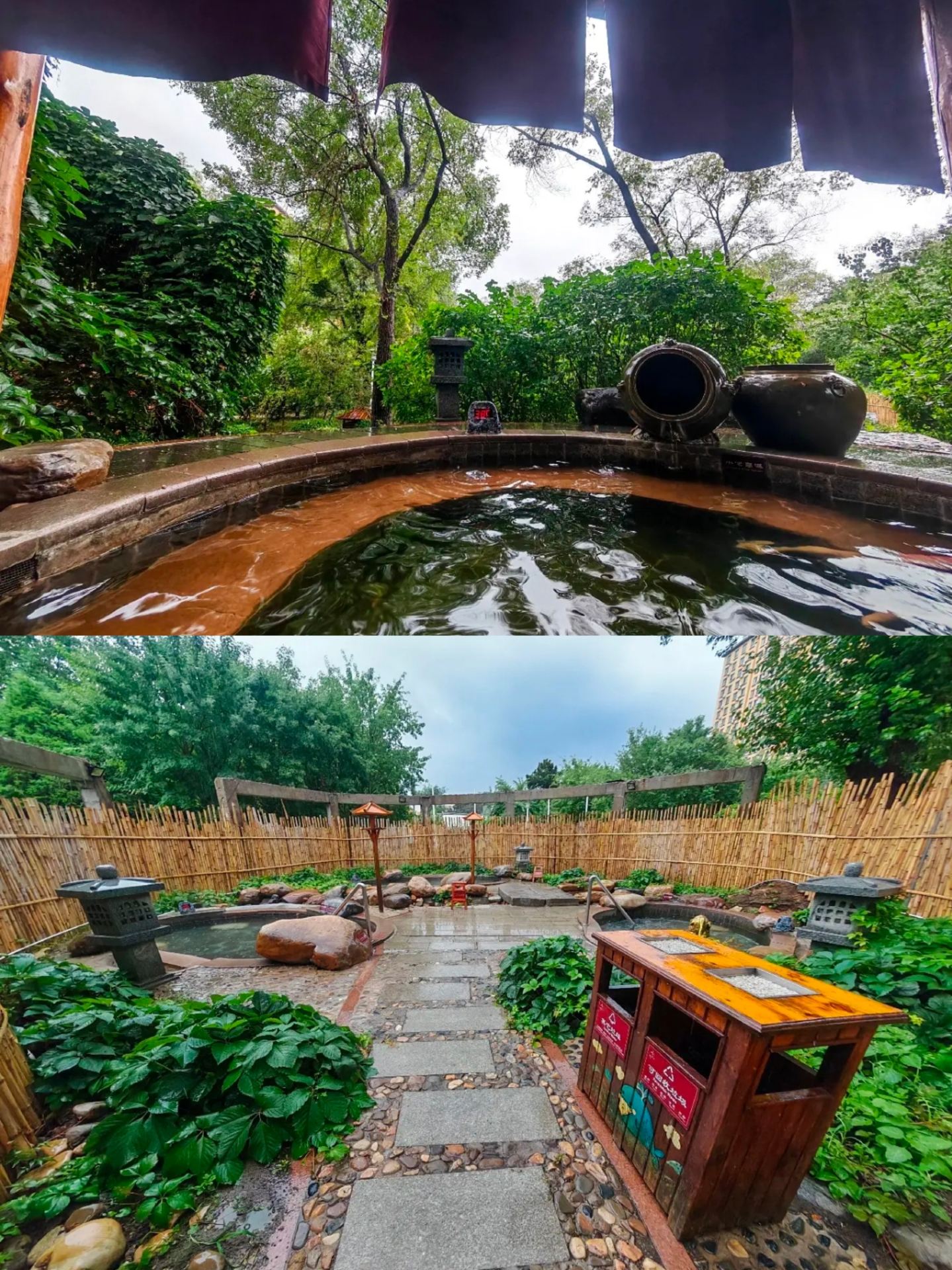 A healing soak in the forest hot springs—unlocking the slow life with friends