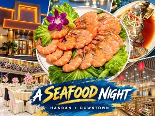 🍤 🍜A Warm Welcome and a Wonderful Dinner in Handan