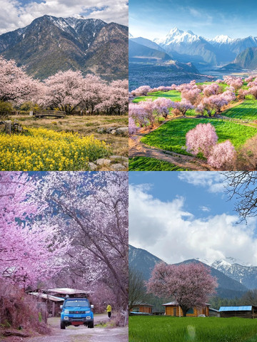 ニンティの桃源郷を巡る親子3日間の旅、雨の日でもゆっくり花を楽しむ