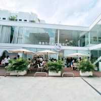 Foam Cat Cafe in Taichung
