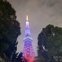 東京無敵夜景，登頂VIP級服務。