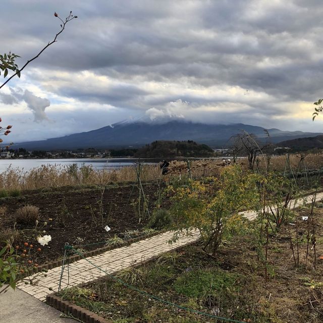 富士山 河口湖 值得一遊