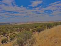 Mt Brown Lookout🏚️😎🤠📸Wongborel🤓