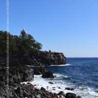 東伊豆「城崎海岸」 飽覽太平洋海岸線 +櫻花 +日本自然景觀