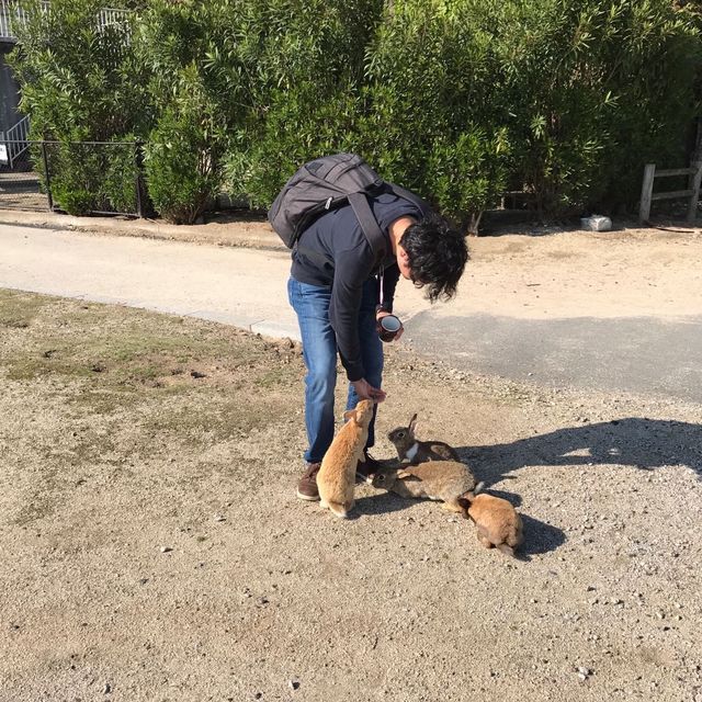 幸運的一天🐰大久野島