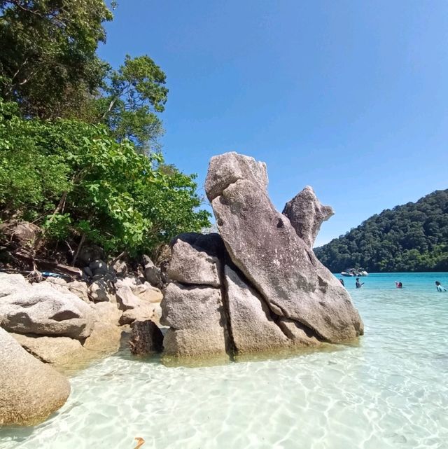 หน้าร้อนแล้ว ไปดำน้ำที่หมู่เกาะสุรินทร์กัน 🤿