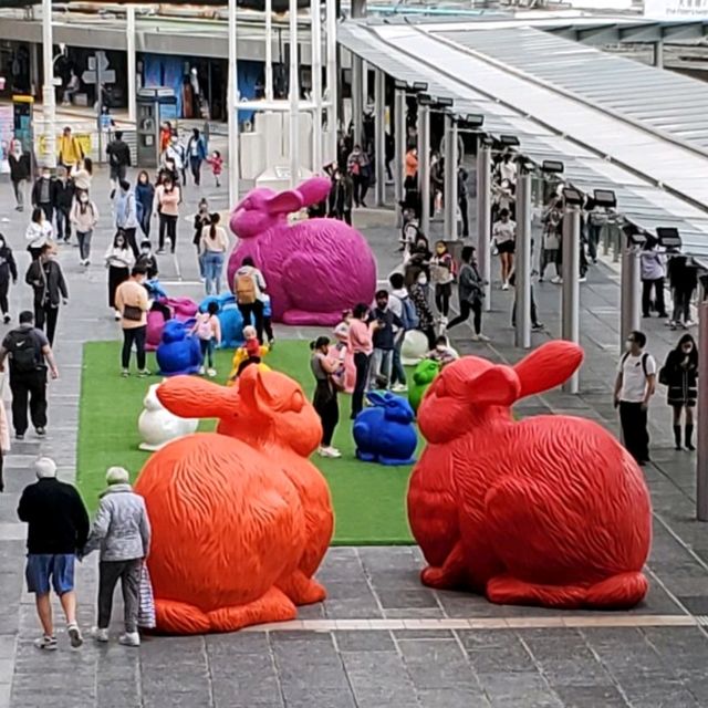 Cracking Art in Harbour City Cracking Art in Harbour City