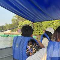 | ป่าชายเลน |  พระเจดีย์กลางน้ำ 🌳 ป่าในเมืองจังหวั