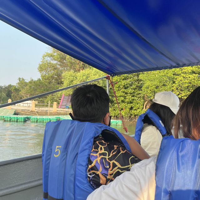 | ป่าชายเลน |  พระเจดีย์กลางน้ำ 🌳 ป่าในเมืองจังหวั