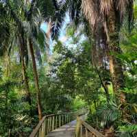 Hiking at Macritchie Nature Trail