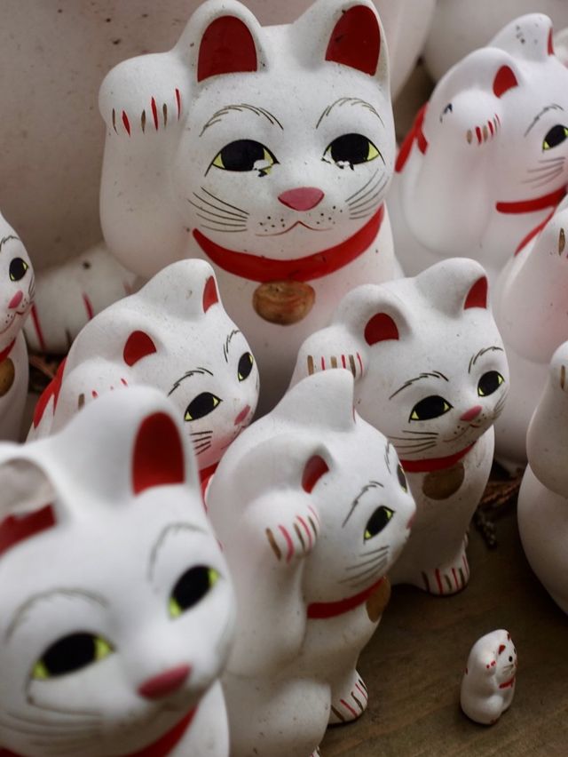🇯🇵東京🫶🏻愛貓之人必去地方🐱❤️豪德寺📸