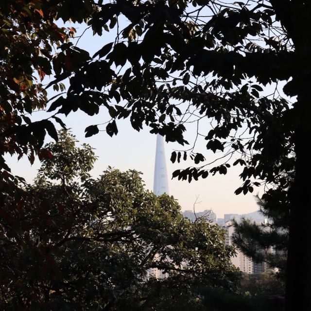 요즘같은 날씨에 등산하기 쉬운 서울 산!!⛰️❤️