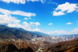 🌄🐜 Ants and Canyon Adventures 