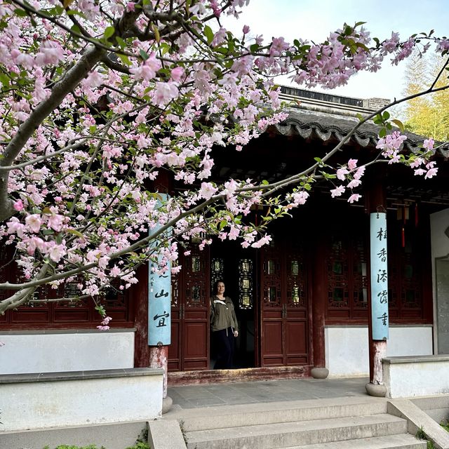 Serene Charm of Tiger Hill in Suzhou, China