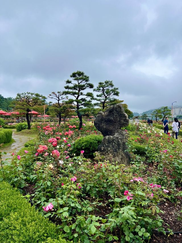 단일규모로는 세계 최대 수량의 장미공원으로 초대합니다 :)