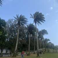 Journey towards the South 