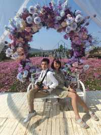  สวนดอกไม้กลางหุบเขา ในถิ่นอีสาน