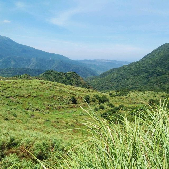 Summer Hike to Yangmingshan