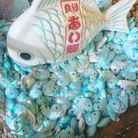 【埼玉県・川越】氷川神社　縁結び🎐🎐🎐　