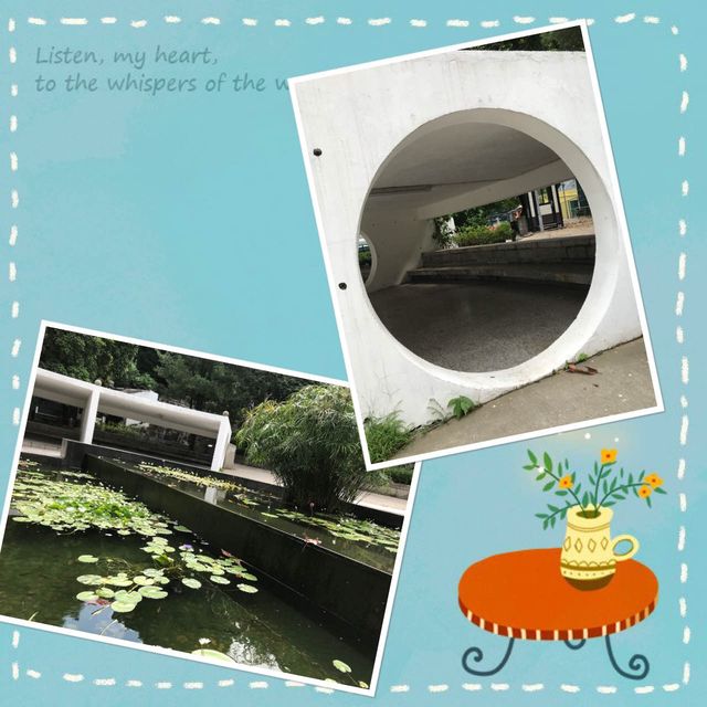 二龍喉公園動物尋蹤😍📸