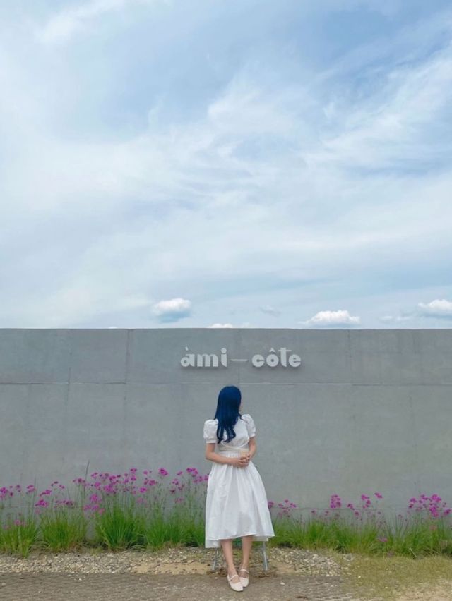 🫧 산 중턱 자연과 쉼이 함께하는 공간 아미꼬뜨🩷