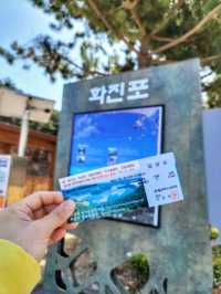 고성의 아름다운 화진포 해변의 볼거리🩵