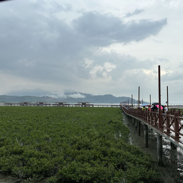深圳惠陽兩天遊