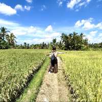 Hidden Place of Paradise in Ubud