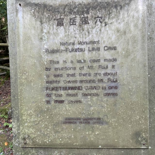 富岳風穴 WIND CAVE