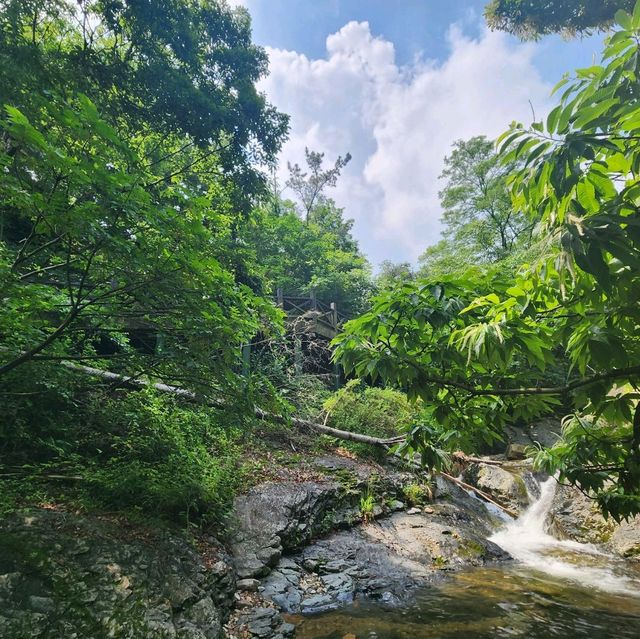 늦여름에 남산계곡에서 힐링을~♡
