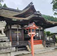滋賀琵琶湖．白鬚神社 - 夢幻水中鳥居