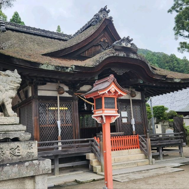 滋賀琵琶湖．白鬚神社 - 夢幻水中鳥居