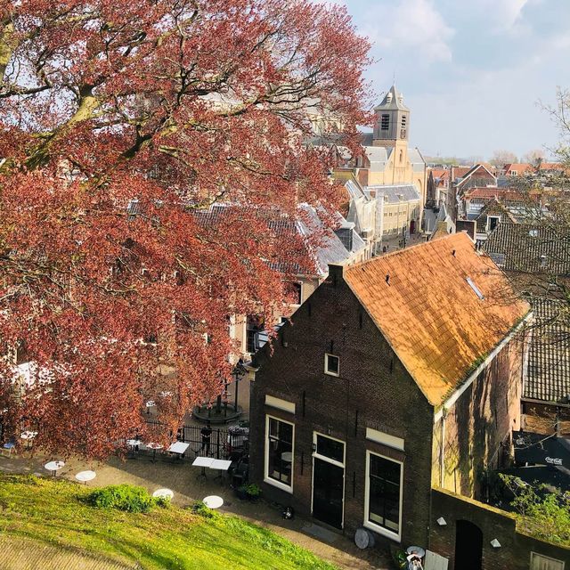 荷蘭🇳🇱萊頓🖼️🏰城堡美景Burcht van Leiden（勒頓城堡）