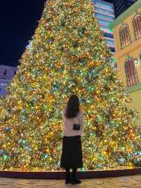 명동 대형 크리스마스 트리🎄