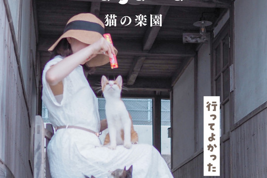 1mi532215h9oaap8g8BB8_R_600_40