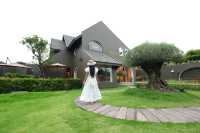 Good Cafe Chiang rai  คาเฟ่เปิดใหม่เชียงราย  