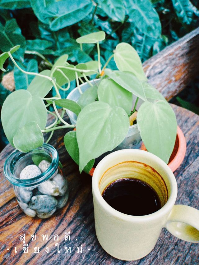 จิบกาแฟคลายหนาวให้สุขพอดี