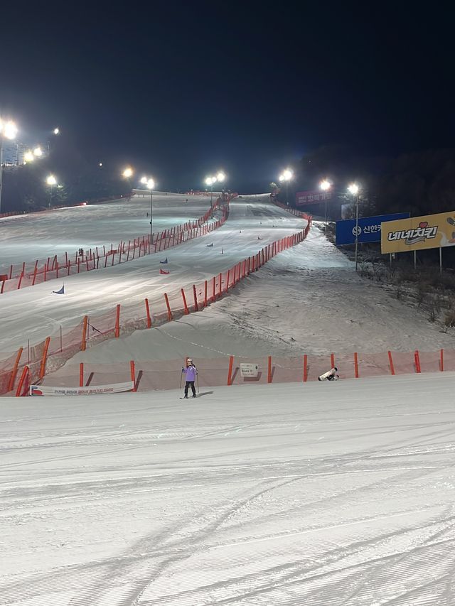 홍천 비발디파크에서 짜릿한 야간 스키⛷️🌙