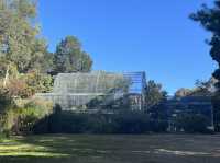 Dunedin Botanic Garden 但尼丁市區植物園，野餐散步好地方