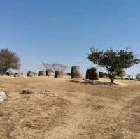 Tour with Kong the Plain off Jars 